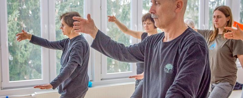 wudang tai chi spis ruchów movements