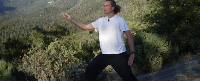 qigong, joga, tomek nowakowski, pchające dłonie
